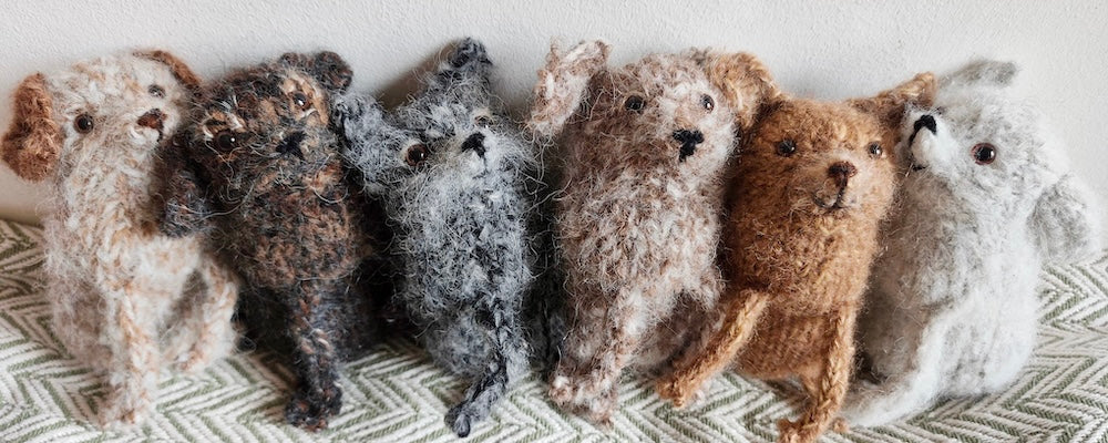 Nagyszékelyi Füvészkert Műhely