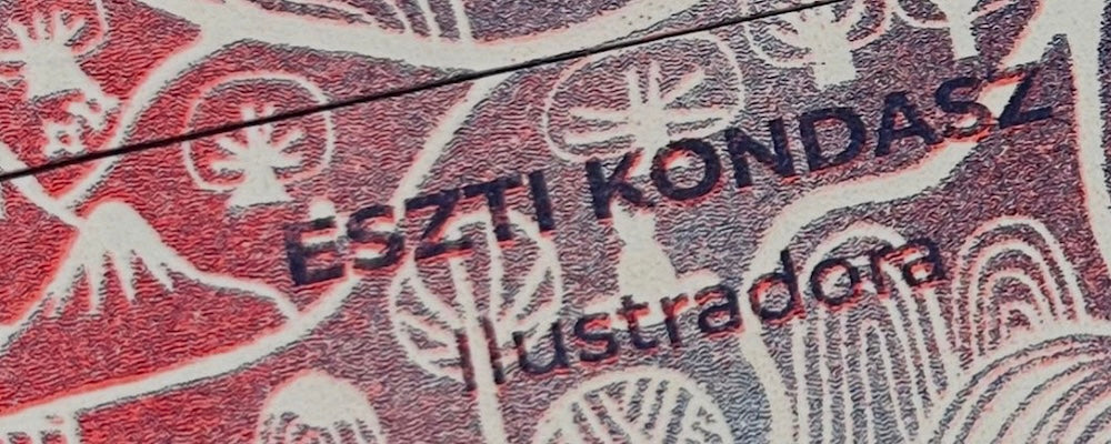 KONDÁSZ ESZTI ILLUSZTRÁCIÓ